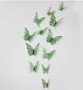 Verde03
