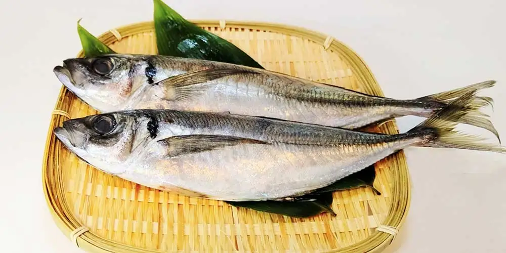 Natural Freeze Airdried Fish Treat Horse Mackerel Bushi For Dogs Buy