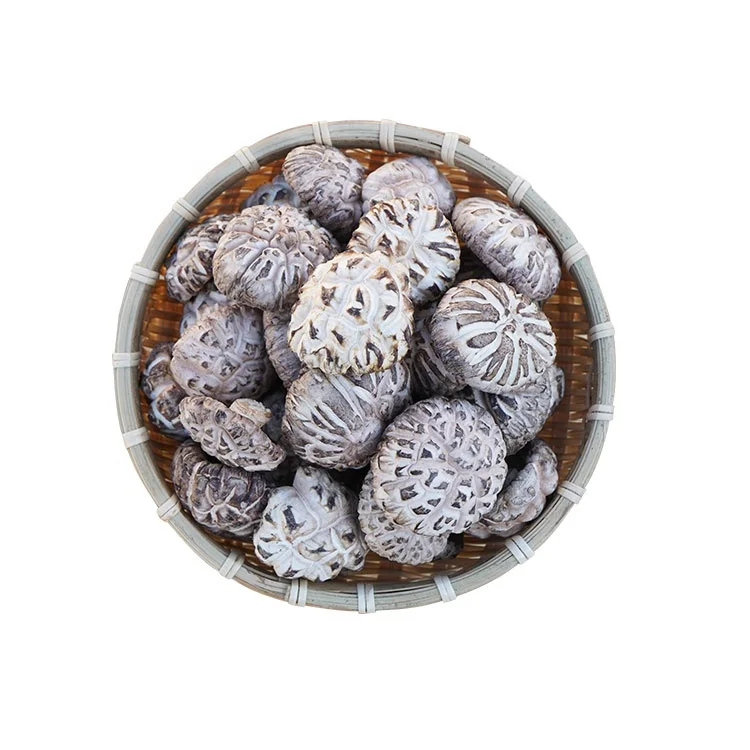 Купить shiitake грибы китайские грибы высушенные глубоко белые цветы shiitake