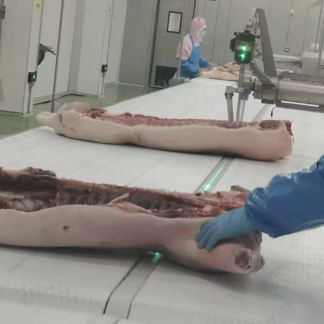 Complete pig slaughterhouse equipment for professional pig slaughtering systems