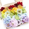 Piccolo fiore arcobaleno