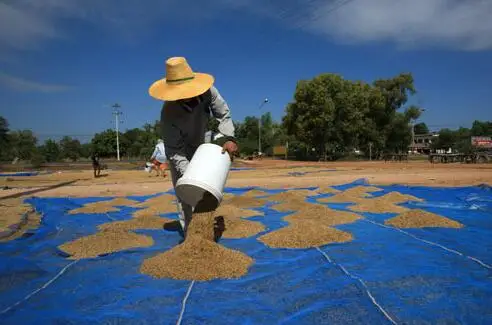 ネット　１０ｍ×５ｍ 強力園芸ネット 幅1.8m×長さ5m 網目10cm 角目 (30本撚り 強力