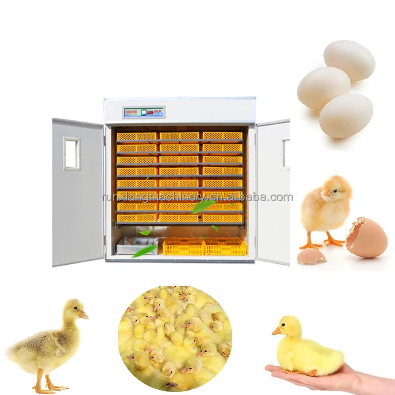 64 Eggs Poulty Incubato Fully Automatic Egg Tuning Hatche