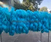 turq  saddle feather