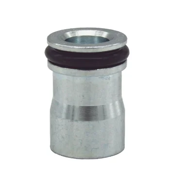 Wholesale High Quality Truck Repair and Replacement Parts Check Valve OEM SPV10005349E3544 for Aucan 2.5