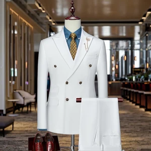 Men's 2 Pieces  Wedding Set,   Customizable   Many Colors Double-breasted Business Suits