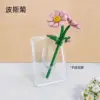Qq017 cosmos