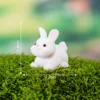 1-Pequeño conejo