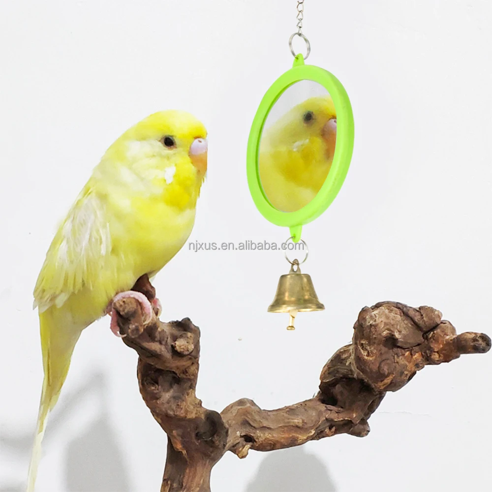 bird cage mirror toys