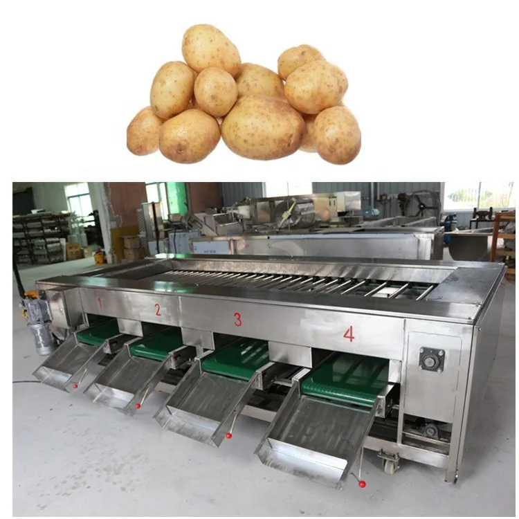 Professional Fruit Citrus Sorting Machine Lemon Grading Machine