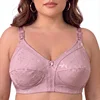 Rosa polveroso