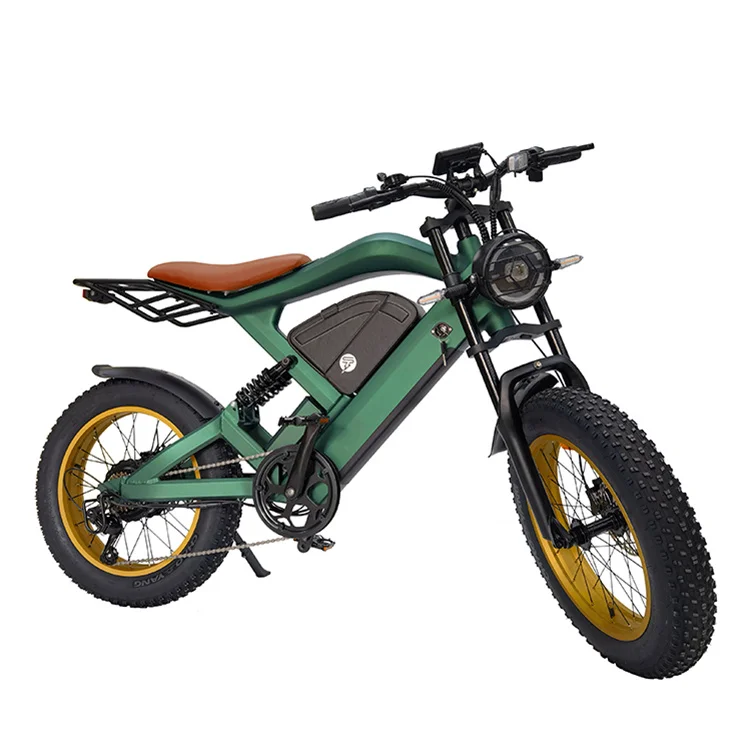 Mountain Electric Bike 1200W Centra Motor Ebike ZM22