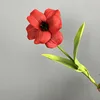 Pu abierto tulipán rojo