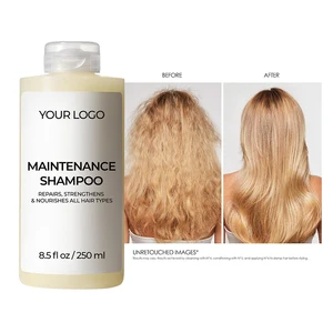 Luxury Volumizing Hair Shampoo Argan Sunflower Oil Anti-Dandruff Refreshing Scalp Soothing Formula for Hair Growth Thin Limp