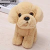 Labrador