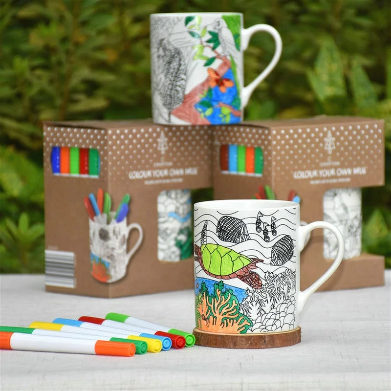 ALDI 11OZ Ceramic Matte White Chalk Mug with Colour Pens and Gift Box,  Paint Your Own Mug for Kids Gift
