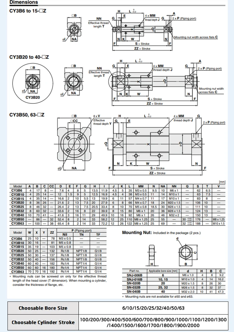 cy3b_04.jpg