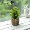 Maceta de madera Jh2153 para planta verde.