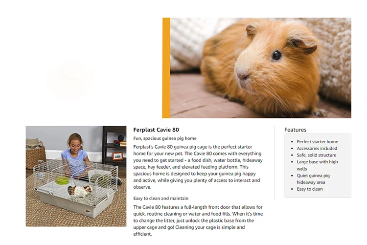 Guinea Pigs Cheap Pets That Are Easy To Take Care Of Three