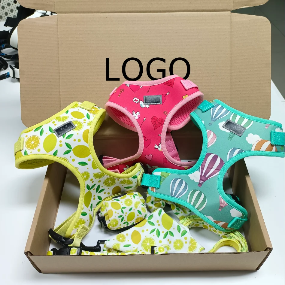 Custom Box Dog Product Adjustable Dog Harness Vest Premium Dogs Harness Accesorios Para Mascotas Correas Para Perros Y Gatos