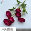 ดอกบัวน้ำค้าง 6 หัว สีแดงกุหลาบ HN