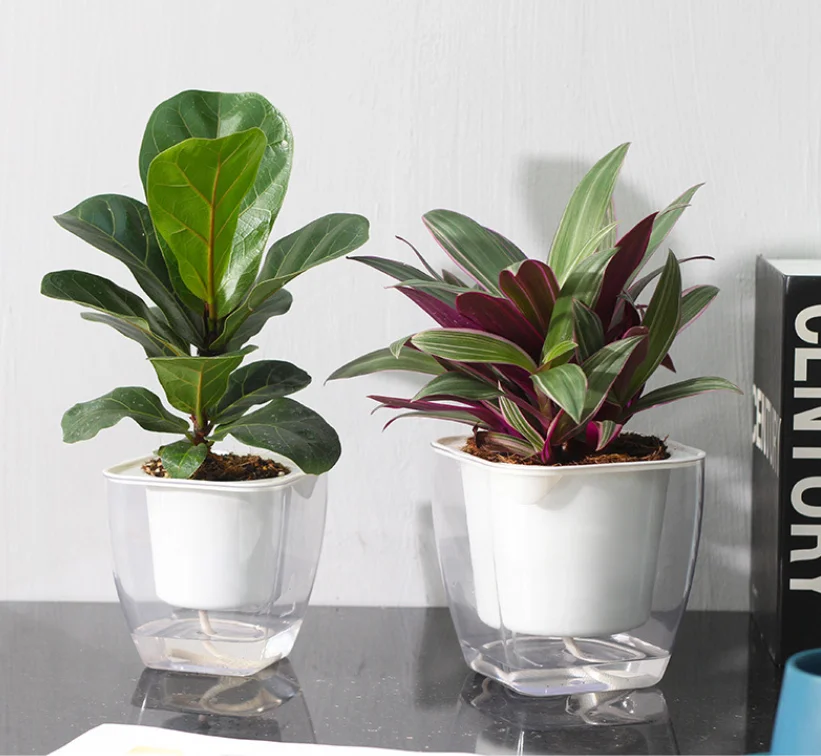 家庭花园装饰懒人花盆现代自浇水花盆花盆室内 Buy 家庭花园装饰懒惰花盆现代自我浇水花盆盆栽室内 家庭花园装饰懒惰花盆现代自我浇水花盆盆栽室内 家庭花园装饰懒惰花盆现代自我浇水花盆盆栽室内