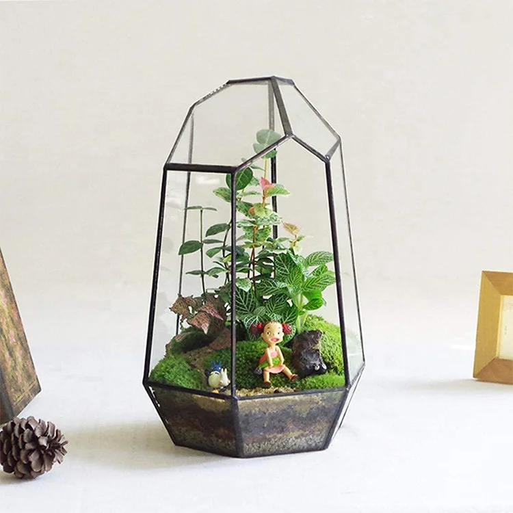 Glass Terrarium Tabletop Succulent Plant Terrarium Geometric With Door