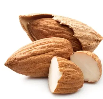 New Crop Wholesale Premium Quality Raw Almond Kernels For Food Low Price Wholesale Almonds Raw Nuts For Sale