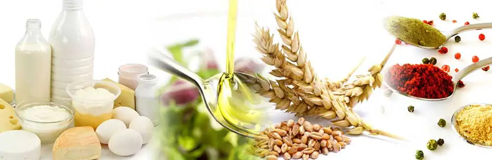 CAS 657-27-2 L-Lysine HCL 99% Feed Grade L-Lysine Hydrochloride
