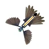 Colibrì