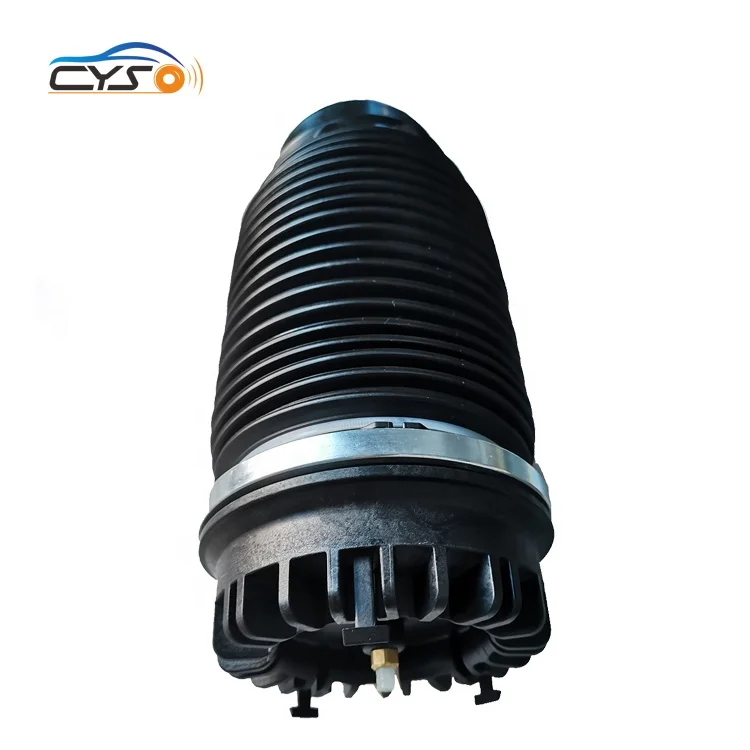 Rear Air Suspension Spring Bellows Bag for Dodge Ram 1500 2013-2018 68248948AA 4877136AB