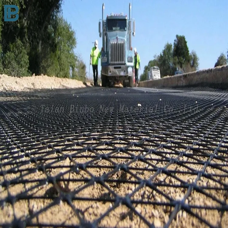 Global selling for road mine soft foundation reinforcement bidirectional tensile plastic geogrid manufacturers direct price details