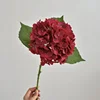 #7 red