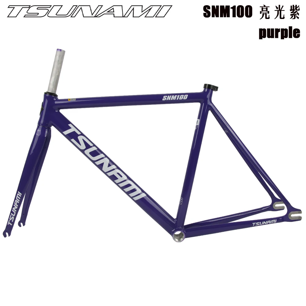 TSUNAMI SNM200 完成車 引取り限定 tsunami_snm200_1699276996_e82f