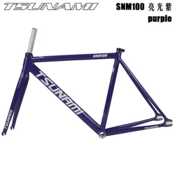 自転車本体 Tsunami snm100 49/14/18 Single Speed Bike- TSUNAMI bike - on sale now, $569 only.