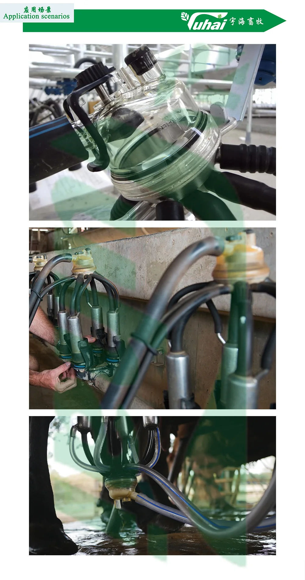 For Delaval High Productivity Lead Base Milking Machine Part Cow Milk Collector Claw with Engine and Spare Parts for Dairy Farms details