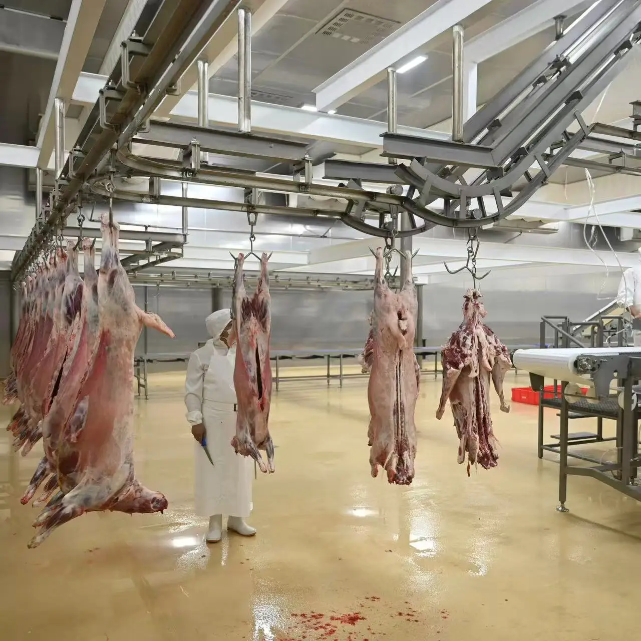 Complete sheep and goat slaughtering line equipment - efficient processing systems for meat factories and modern slaughterhouses