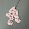 rosa claro
