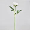 Medium-sized, textured white