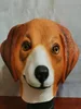 maschera da beagle