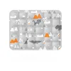 Gray Zoo