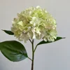 Blanco Verde