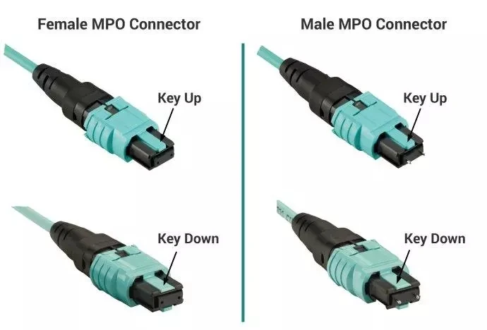 OM4 MPO Cable Patch Cord Multimode MPO(F) -MPO(F) 8Cores Type B 50/125um OM4 7M