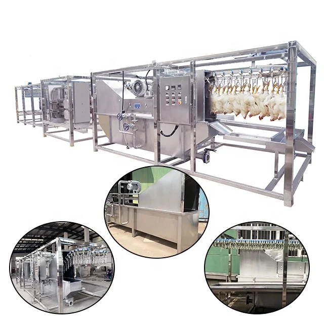 Full Automatic 500BPH -1000BPH Mobile Container Chicken Poultry Slaughter House for Small Scale Abattoir