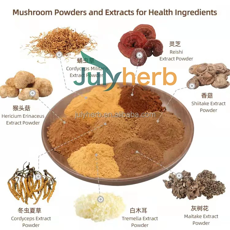 quality natural plant shiitake mushroom extract