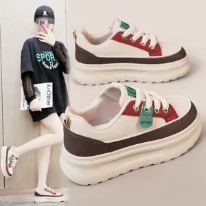 ZY1811 Wholesale Spring New Trendy Ladies Walking Style Shoes Casual Women's Running Shoes