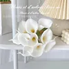 White and yellow heart