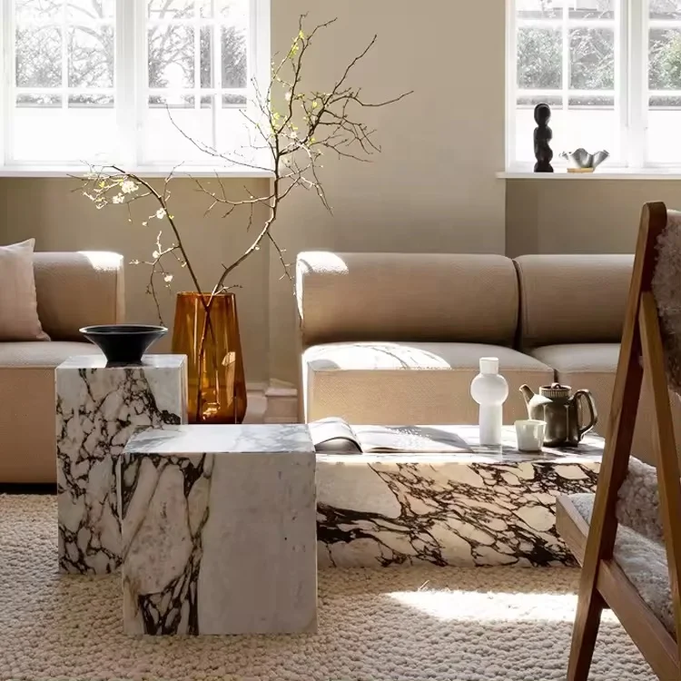 Future Stone Furniture Coffee Table Low Plinth Marble Living Room Luxury Natural Customized Calacatta Viola Coffee Side Table 333073