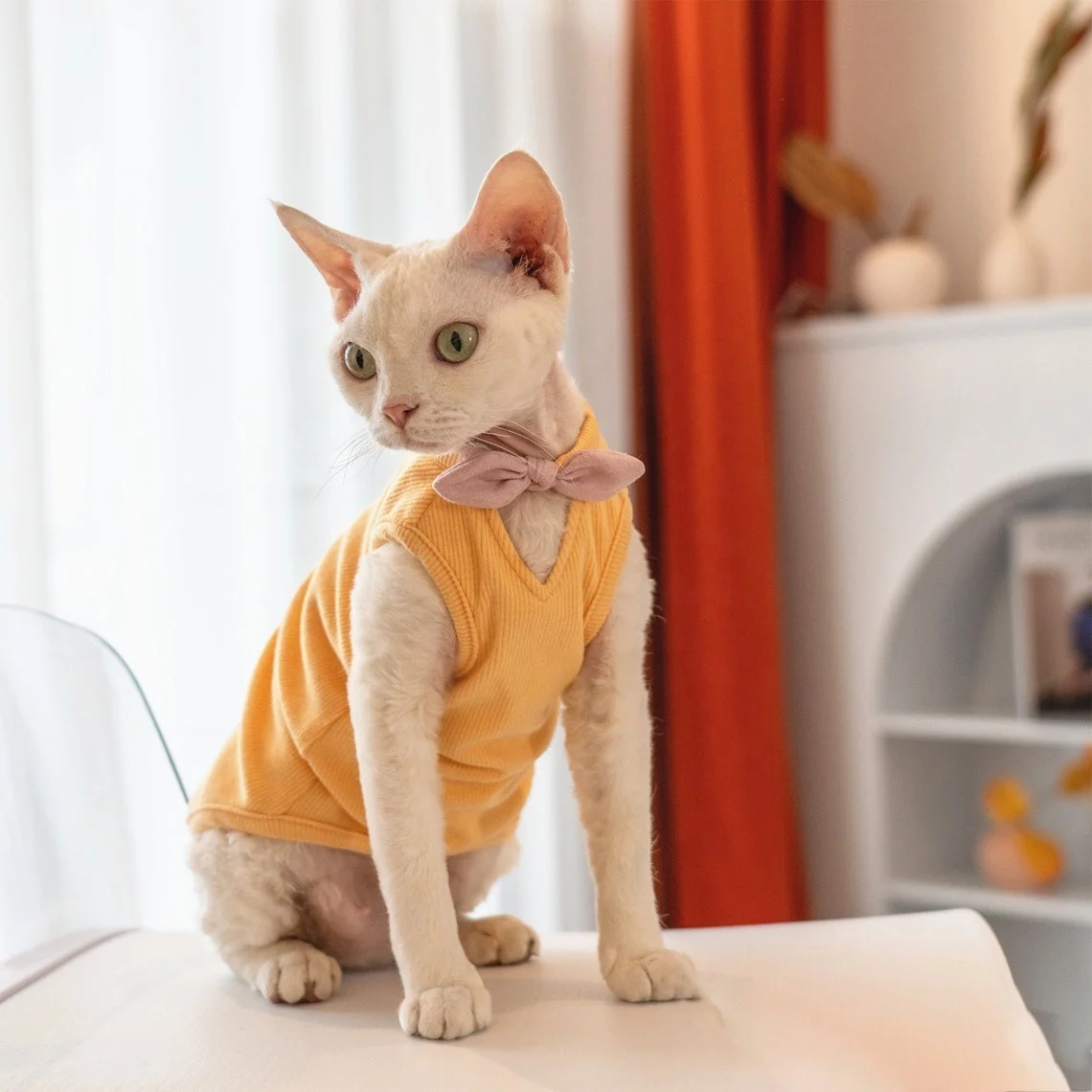 Sphinx Cat Clothes 100% Cotton Summer Cooling Vest T Shirt Breathable  Clothes For Sphynx Cat Kitten Fashion Tee Suit Jacket - Cat Coats & Jackets  - AliExpress