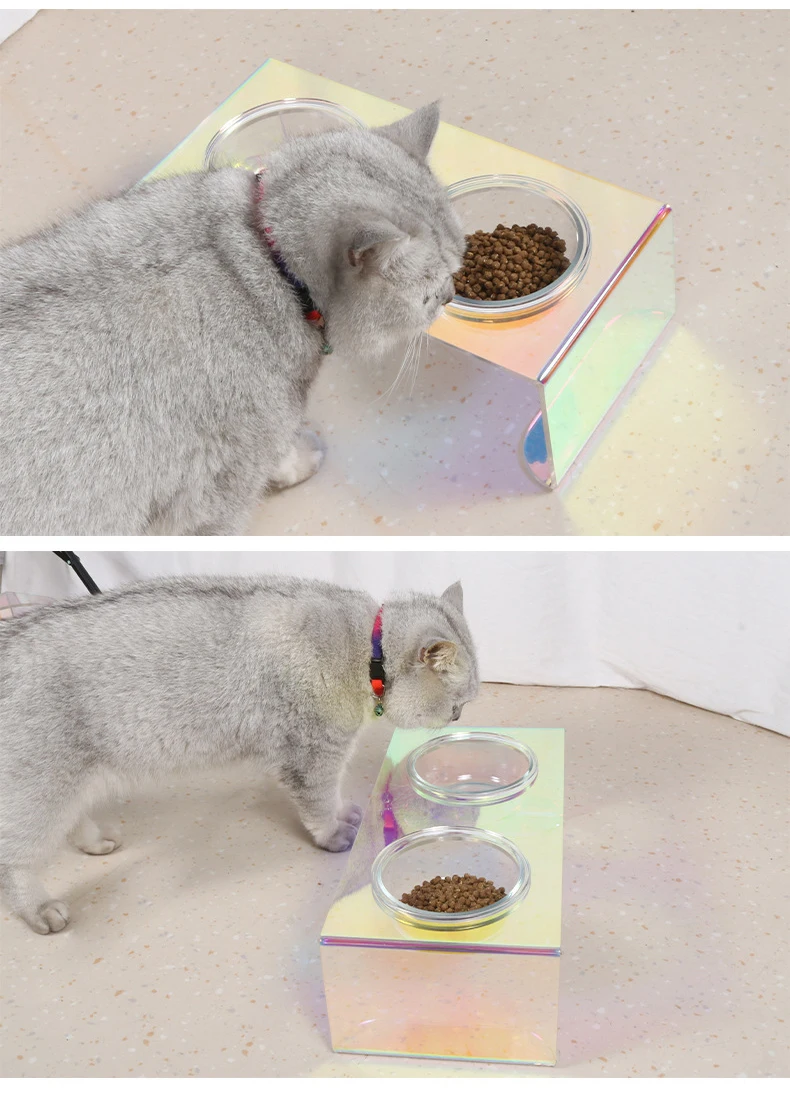 Pet New Laser Color Table Acrylic Cat Table Bowl Rack Dog Bowl Rack supplier